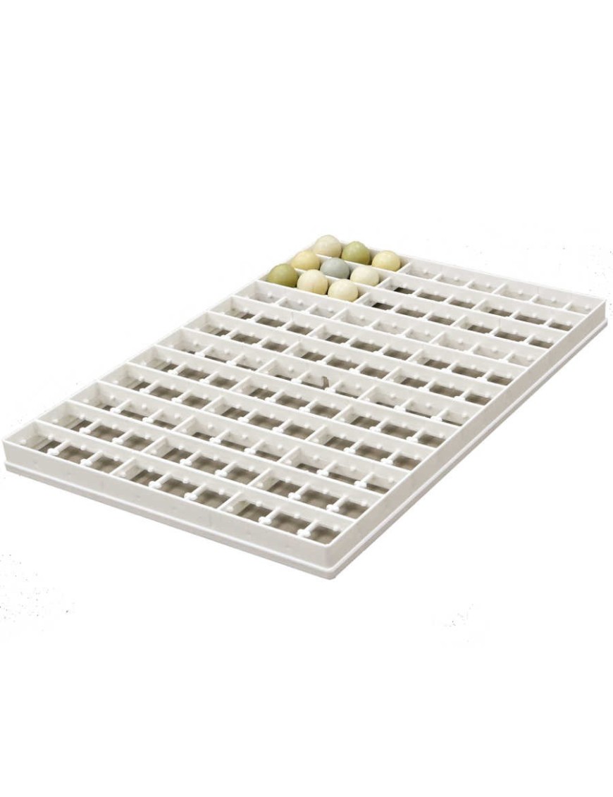 Incubateur 108 Œufs Faisan – Élevage Pro | Eggceterra