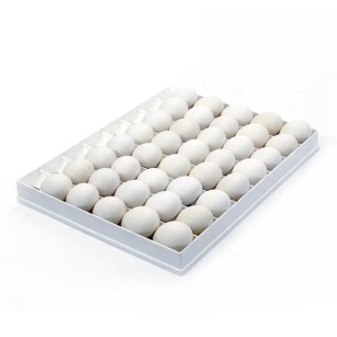 Plateau d'Incubation 40 Œufs d'Oie | Eggceterra Élevage
