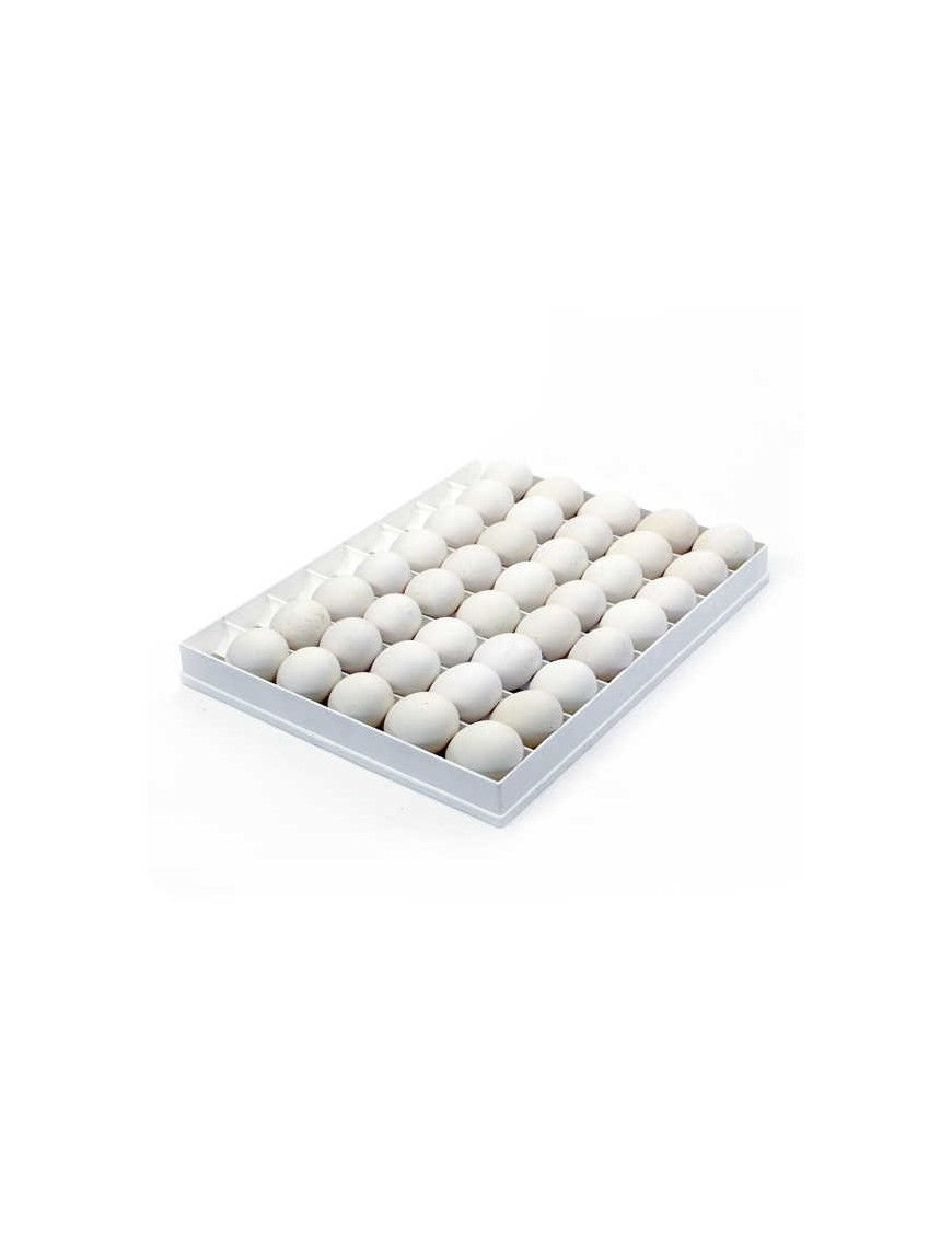 Plateau d'Incubation 40 Œufs d'Oie | Eggceterra Élevage