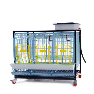 Cage Poule Pondeuse 1 Étage 60cm | Eggceterra Élevage
