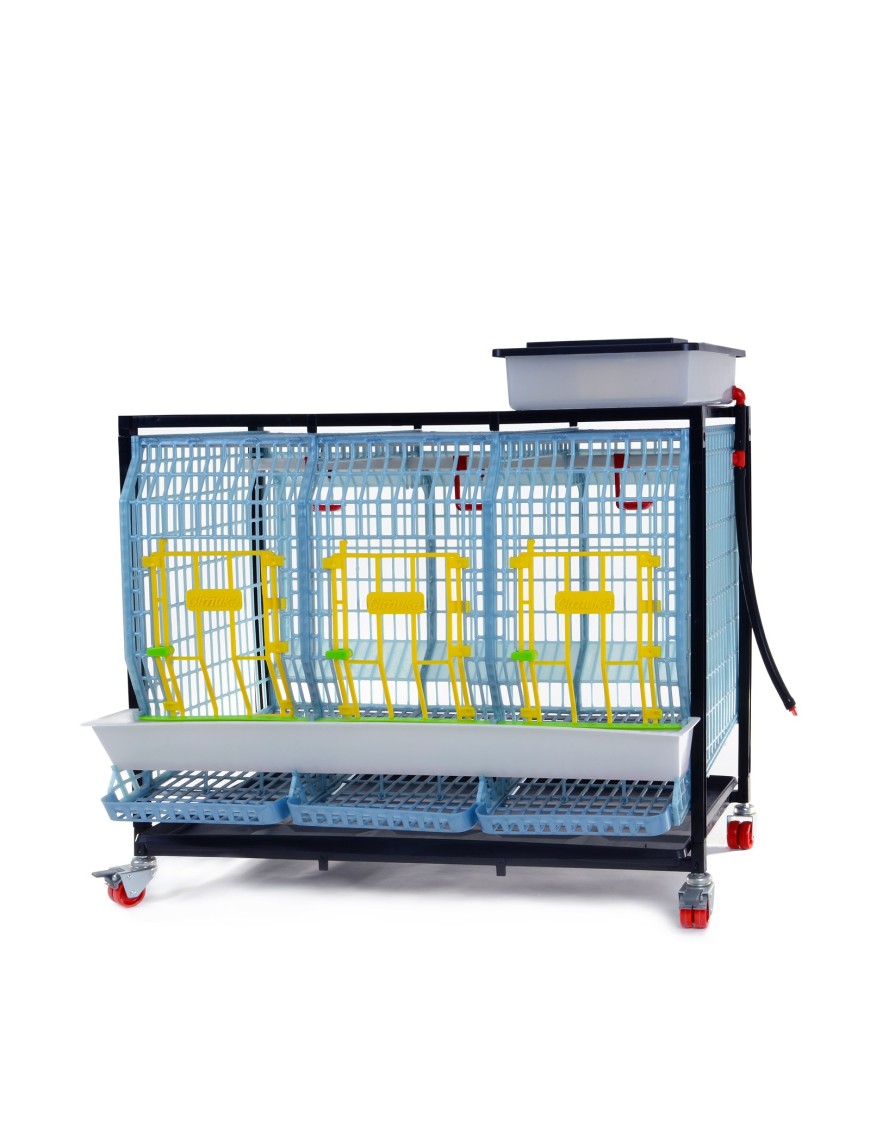 Cage Poule Pondeuse 1 Étage 60cm | Eggceterra Élevage