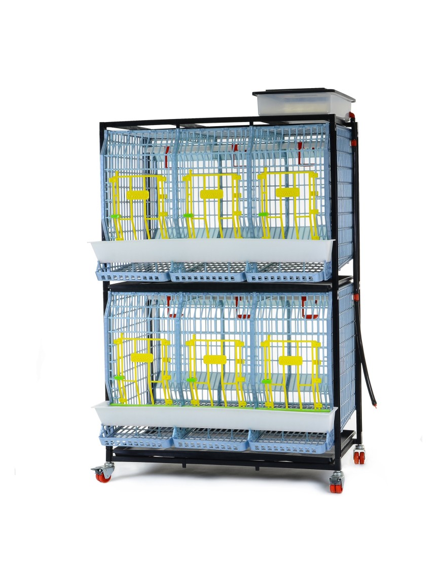 Cage Poule Pondeuse 2 Étages 60cm - Eggceterra