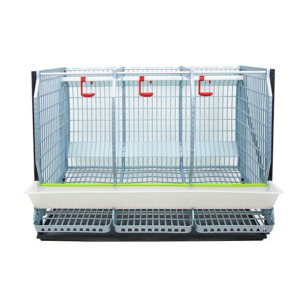 Cage 3 étages pour poules pondeuses - Eggceterra