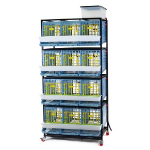 Cage 4 Étages pour Perdrix - Eggceterra Élevage Expert