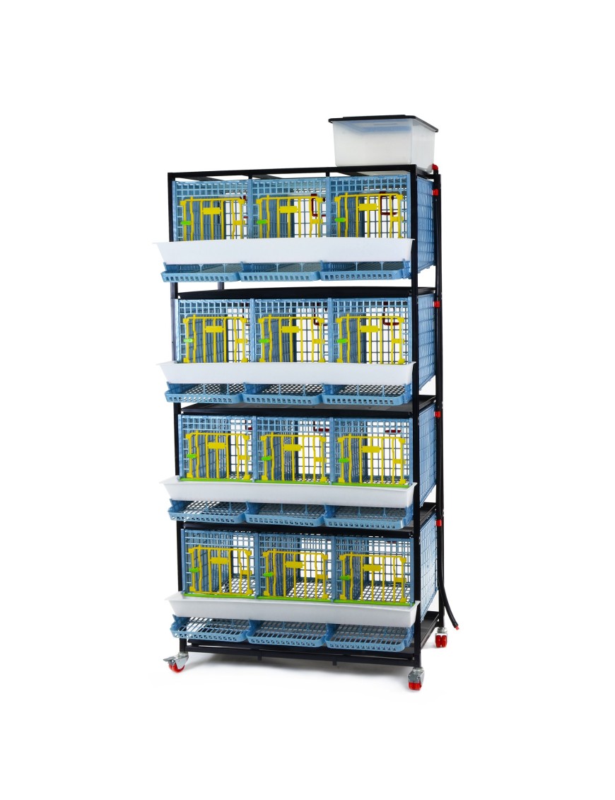 Cage 4 Étages pour Perdrix - Eggceterra Élevage Expert