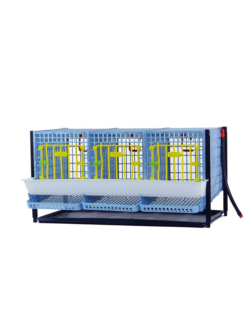 Cage Perdrix étagée en plus - Eggceterra Élevage