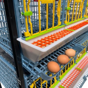Cage Poule Pondeuse 1 Étage - Qualité Eggceterra
