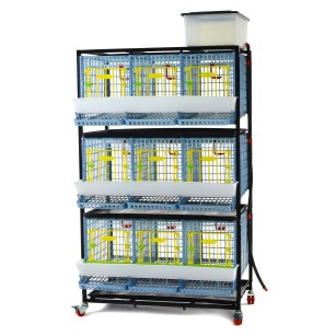 Cage Poule Pondeuse 3 Étages 40cm | Eggceterra Élevage