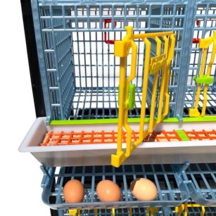 Cage Poule Pondeuse 3 Étages 40cm | Eggceterra Élevage