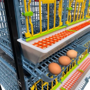 Cage Poule Pondeuse 3 Étages 40cm | Eggceterra Élevage