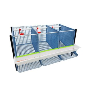 Cage Poule Pondeuse 3 Étages 40cm | Eggceterra Élevage