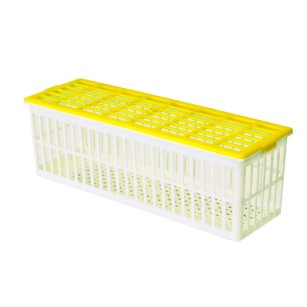 Panier d'éclosion 6 œufs CS6 - Élevage facile Eggceterra