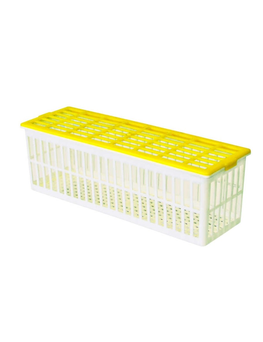Panier d'éclosion 6 œufs CS6 - Élevage facile Eggceterra