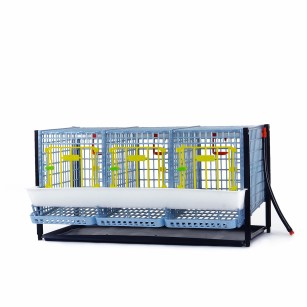 Cage Poule Pondeuse 40cm | Étages Supplémentaires Eggceterra