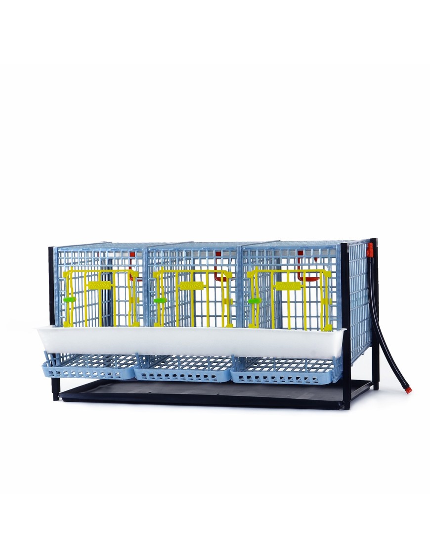 Cage Poule Pondeuse 40cm | Étages Supplémentaires Eggceterra