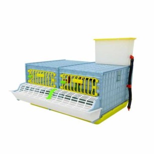 Cage de croissance 2 sections, 25 cm - Eggceterra élevage