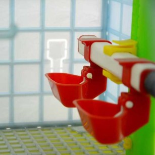 Cage de croissance 2 sections, 25 cm - Eggceterra élevage