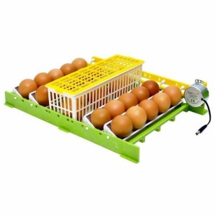 Panier d'éclosion 6 œufs CS6 - Élevage facile Eggceterra