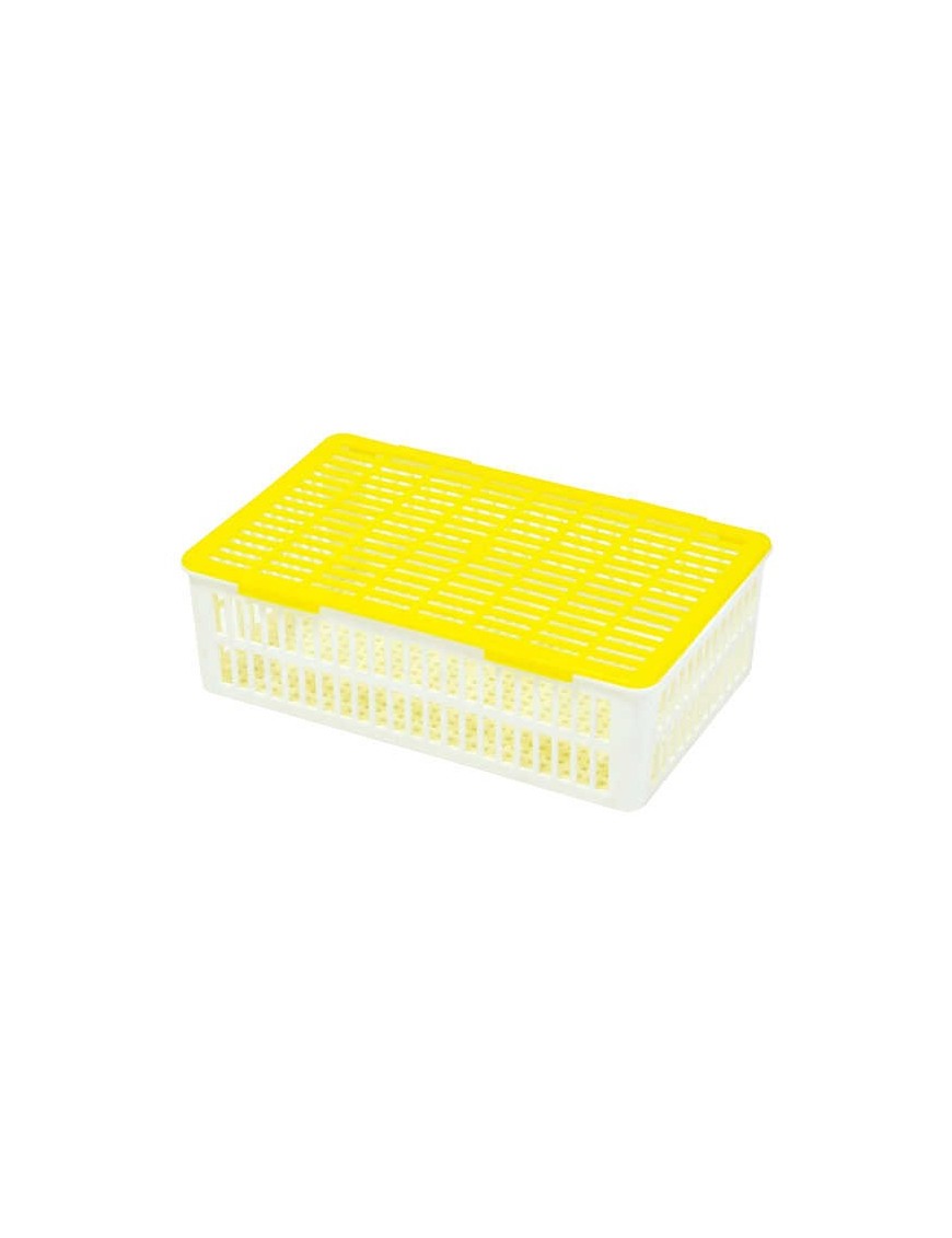 Panier d'éclosion 15 œufs CS15 - Eggceterra Élevage Panier d'éclosion 15 œufs CS15 - Eggceterra Élevage