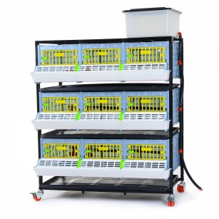 Cage de Croissance 3 Étages - Élevage Efficace Eggceterra