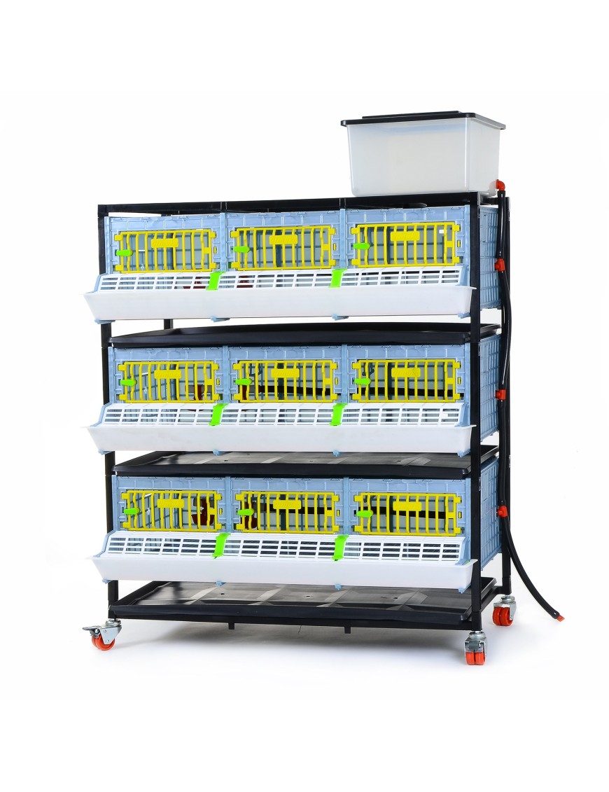 Cage de Croissance 3 Étages - Élevage Efficace Eggceterra