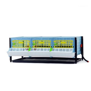 Cage de croissance étage 25cm - Eggceterra élevage expert