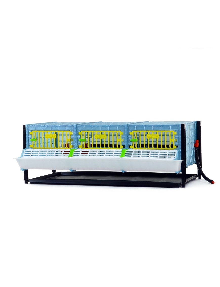 Cage de croissance étage 25cm - Eggceterra élevage expert