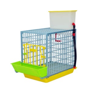 Cage de Croissance 40 cm - Élevage Efficace Eggceterra
