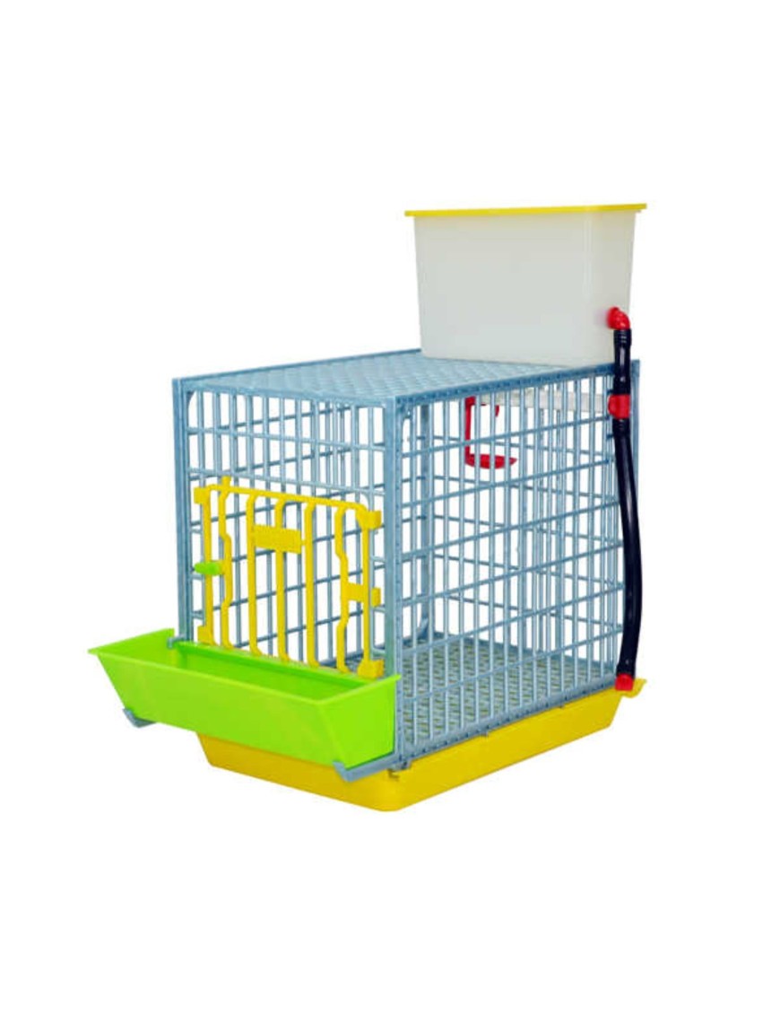 Cage de Croissance 40 cm - Élevage Efficace Eggceterra
