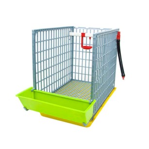 Cage de Croissance 40 cm - Élevage Efficace Eggceterra