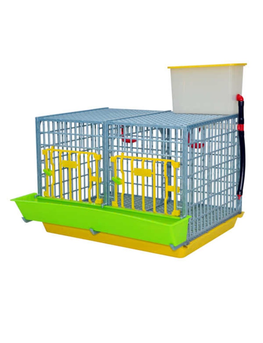 Cage de croissance 2 sections 40 cm | Elevage Eggceterra