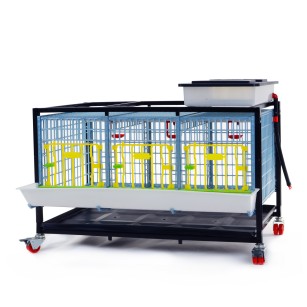 Cage de Croissance 1 Étage 40cm - Eggceterra Élevage