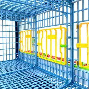 Cage de Croissance 1 Étage 40cm - Eggceterra Élevage