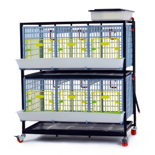 Cage de Croissance 2 Étagères 40 cm | Eggceterra Élevage