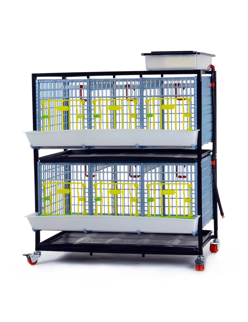 Cage de Croissance 2 Étagères 40 cm | Eggceterra Élevage