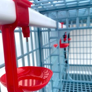 Cage de Croissance 4 Étages 40cm - Élevage Eggceterra