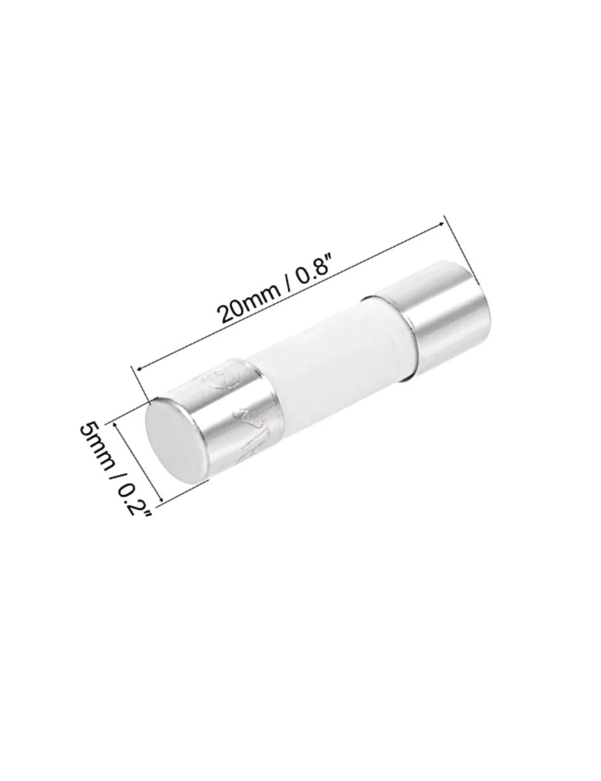 Fusible 2A 5x20 mm pour couveuses CT | Eggceterra Fusible 2A 5x20 mm pour couveuses CT | Eggceterra