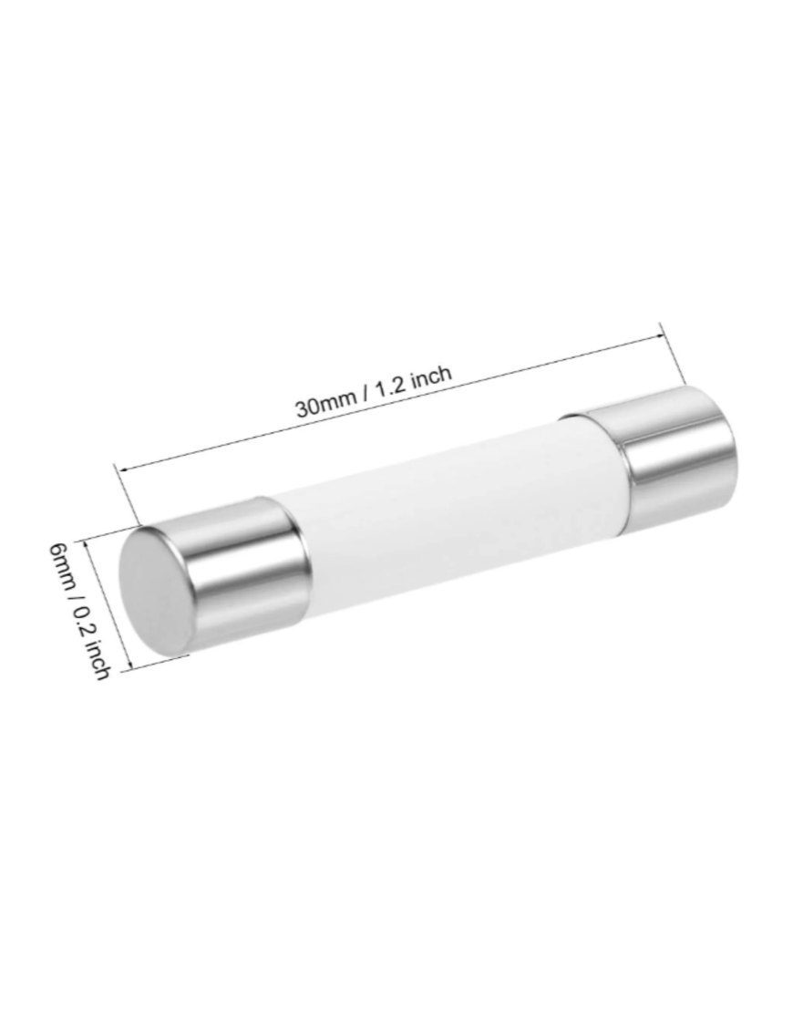 Fusible 20A 6x30mm pour chauffage couveuse Eggceterra