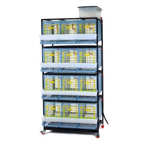Cages d'élevage poules TYK40