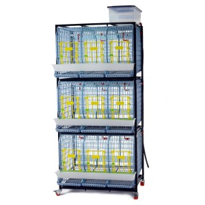 Cages d'élevage poules TYK60