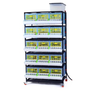 Cages de croissance hauteur 25cm
