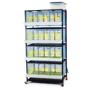 Cages de croissance hauteur 40cm
