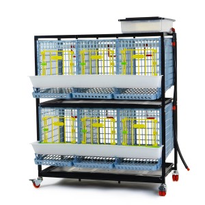 Cages d'élevage
