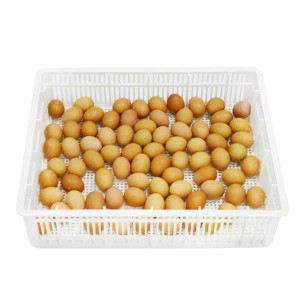 Paniers d'éclosion œufs