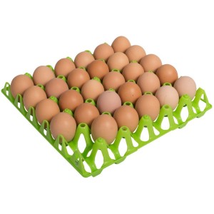 Plateaux et boîtes à oeufs