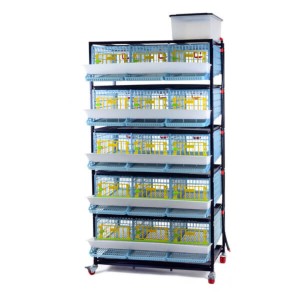 Cages cailles jumbo