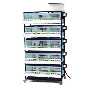 Cages poussins hauteur 25cm