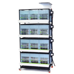Cages poussins hauteur 40cm