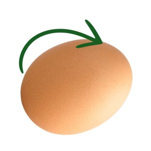 Retournement des oeufs